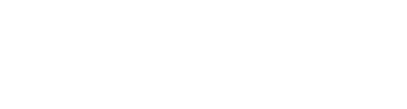 Lamborghini Logo