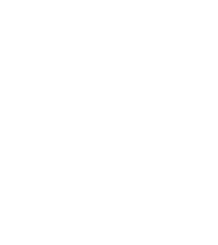 Lamborghini Logo