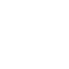Volkswagen Logo