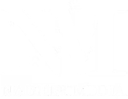 Nadher